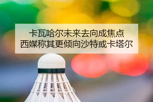 卡瓦哈尔未来去向成焦点 西媒称其更倾向沙特或卡塔尔